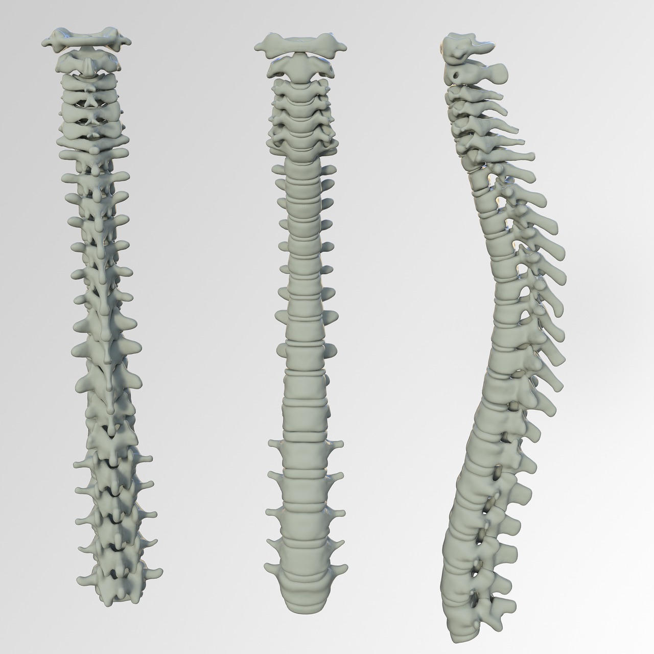 Spinal Screenings Fort Mill, SC